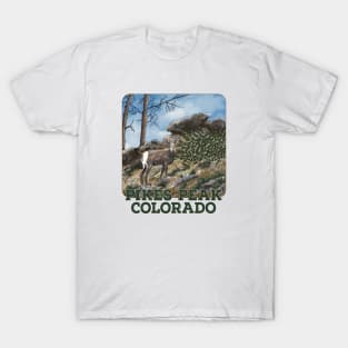 Pikes Peak Bighorns T-Shirt